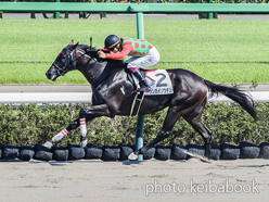 カラープリント(アルミ枠なし)2024年9月7日中山8R 3歳以上1勝クラス(ウンガイソウテン)