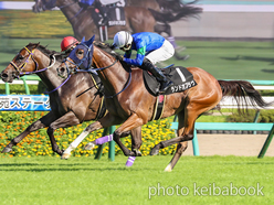 カラープリント(アルミ枠付き)2024年9月7日中山10R 汐留特別(ランドオブラヴ)