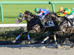 カラープリント(アルミ枠付き)2024年9月7日中山12R 3歳以上1勝クラス(メモリーグラス)