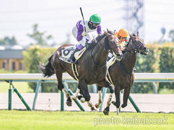 カラープリント(アルミ枠なし)2024年9月8日中京1R 3歳以上障害未勝利(トーセンオリジン)