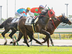 カラープリント(アルミ枠付き)2024年9月8日中京3R 2歳未勝利(マイネルチケット)