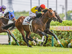 カラーパネル2024年9月8日中京4R 2歳新馬(パンジャタワー)