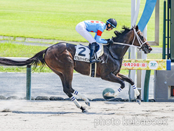 カラープリント(アルミ枠なし)2024年9月8日中京6R 3歳以上1勝クラス(ダブルハートボンド)