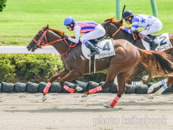 カラーパネル2024年9月8日中山1R 2歳未勝利(ジャスパーソレイユ)