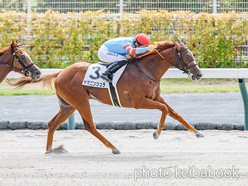 カラーパネル2024年9月14日中京1R 2歳未勝利(ヤマニンシュラ)