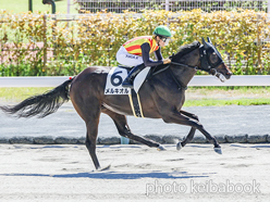 カラーパネル2024年9月14日中京2R 2歳未勝利(メルキオル)