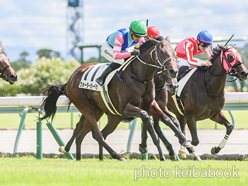 カラーパネル2024年9月14日中京3R 2歳未勝利(ウォーターガーベラ)