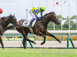 カラープリント(アルミ枠なし)2024年9月15日中京5R 2歳新馬(スリーキングス)