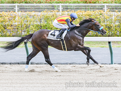 カラープリント(アルミ枠付き)2024年9月15日中京8R 3歳以上1勝クラス(スリリングチェイス)