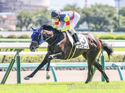 カラーパネル2024年9月15日中山5R 2歳新馬(レイユール)