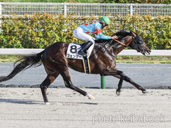 カラープリント(アルミ枠付き)2024年9月16日中京12R 3歳以上1勝クラス(フェンダー)