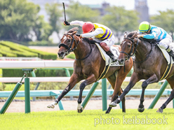 カラーパネル2024年9月16日中山4R 2歳未勝利(ニシノイストワール)