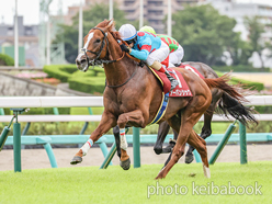 カラープリント(アルミ枠付き)2024年9月16日中山11R セントライト記念(アーバンシック)