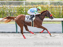 カラープリント(アルミ枠なし)2024年9月21日中京3R 2歳未勝利(ユウトザユウト)