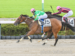 カラープリント(アルミ枠付き)2024年9月22日中山4R 2歳新馬(フレッシュラン)