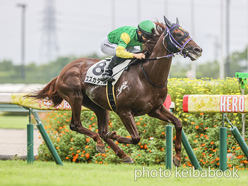 カラープリント(アルミ枠付き)2024年9月28日中京8R 3歳以上2勝クラス(スズカダブル)