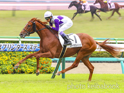 カラーパネル2024年9月29日中山5R 2歳新馬(スタイラスメソッド)