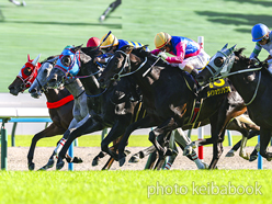 カラープリント(アルミ枠付き)2024年10月5日京都11R オパールステークス(ビッグシーザー)