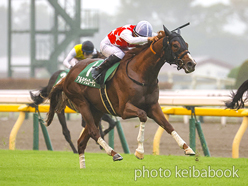 カラープリント(アルミ枠付き)2024年10月5日東京11R サウジアラビアRC(アルテヴェローチェ)