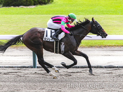 カラープリント(アルミ枠なし)2024年10月5日新潟3R 3歳以上1勝クラス(ルソレイユ)