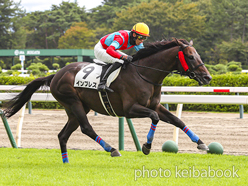 カラープリント(アルミ枠付き)2024年10月5日新潟4R 3歳以上障害未勝利(インプレス)