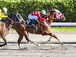 カラープリント(アルミ枠付き)2024年10月5日新潟11R 鳥屋野特別(エスティメート)