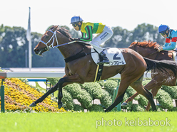 カラープリント(アルミ枠付き)2024年10月6日京都4R 2歳新馬(インフローレ)