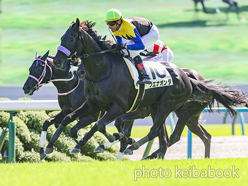 カラープリント(アルミ枠付き)2024年10月6日京都7R 3歳以上1勝クラス(ブエナオンダ)