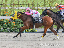 カラープリント(アルミ枠付き)2024年10月6日京都10R 藤森ステークス(クインズメリッサ)