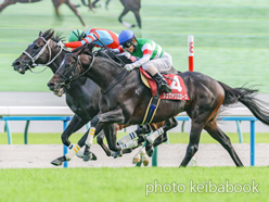 カラープリント(アルミ枠付き)2024年10月6日京都11R 京都大賞典(シュヴァリエローズ)