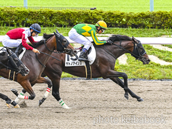 カラープリント(アルミ枠付き)2024年10月6日東京7R 3歳以上1勝クラス(サトノアインス)