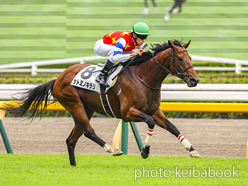 カラープリント(アルミ枠付き)2024年10月6日東京8R 3歳以上2勝クラス(サトミノキラリ)