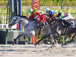 カラープリント(アルミ枠付き)2024年10月12日京都11R 大阪スポーツ杯(デリカダ)