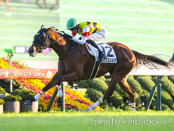 カラープリント(アルミ枠なし)2024年10月12日京都12R 3歳以上2勝クラス(オックスリップ)