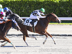 カラープリント(アルミ枠付き)2024年10月12日新潟8R 3歳以上1勝クラス(ネイト)