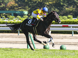 カラープリント(アルミ枠付き)2024年10月12日新潟9R 朝日岳特別(ゴールドスター)