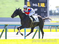 カラープリント(アルミ枠付き)2024年10月13日京都5R 2歳新馬(ロヴィーサ)