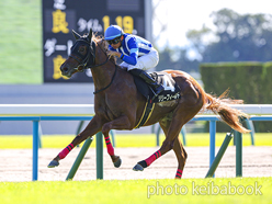 カラープリント(アルミ枠付き)2024年10月13日京都8R もみじステークス(リリーフィールド)