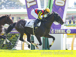 カラーパネル2024年10月13日東京3R 2歳未勝利(カラマティアノス)