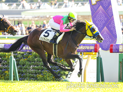 カラーパネル2024年10月14日東京7R 3歳以上2勝クラス(リンフレスカンテ)