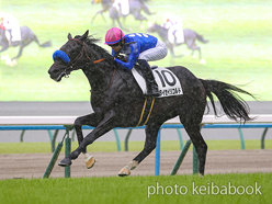 カラーパネル2024年10月19日京都3R 2歳未勝利(タイセイリコルド)