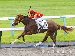 カラープリント(アルミ枠なし)2024年10月19日京都4R 2歳新馬(ビーコ)