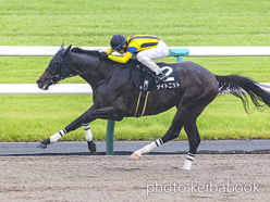 カラープリント(アルミ枠なし)2024年10月19日京都9R 北國新聞杯(タイトニット)