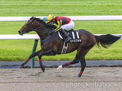 カラープリント(アルミ枠付き)2024年10月19日京都11R オータムリーフステークス(ライツフォル)