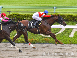 カラープリント(アルミ枠付き)2024年10月19日東京10R 神無月ステークス(ダノンブレット)