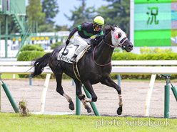 カラープリント(アルミ枠付き)2024年10月19日新潟4R 3歳以上障害OP(ハーツシンフォニー)