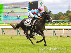 カラープリント(アルミ枠付き)2024年10月19日新潟7R 3歳以上1勝クラス(ヴァイザーブリック)