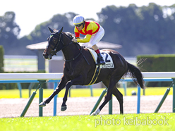 カラーパネル2024年10月20日京都4R 2歳新馬(エリカエクスプレス)