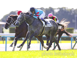 カラーパネル2024年10月20日京都5R 2歳新馬(ヤマニンブークリエ)