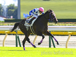 カラーパネル2024年10月20日東京3R 2歳未勝利(プレシャスデイ)